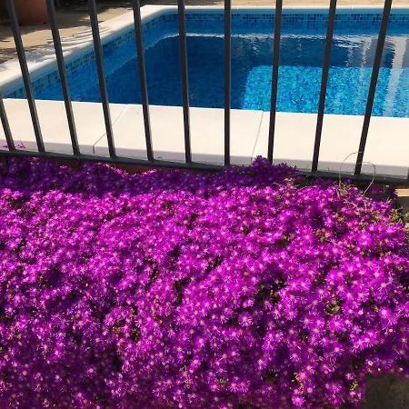 Pousada Bouganvilla Parking Privado 32 En La Playa