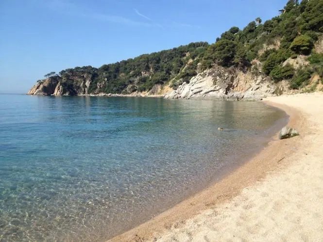 Bouganvilla فيلة