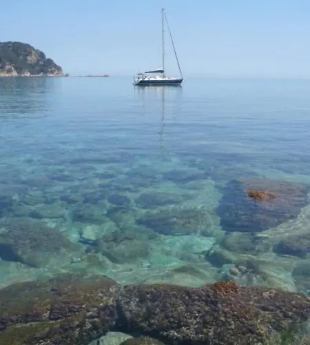 فيلة Bouganvilla توسا ذي مار